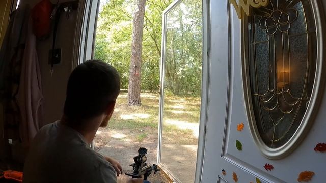 Hummingbird Hunting with a Ballista Bat Mini Crossbow смотреть онлайн
