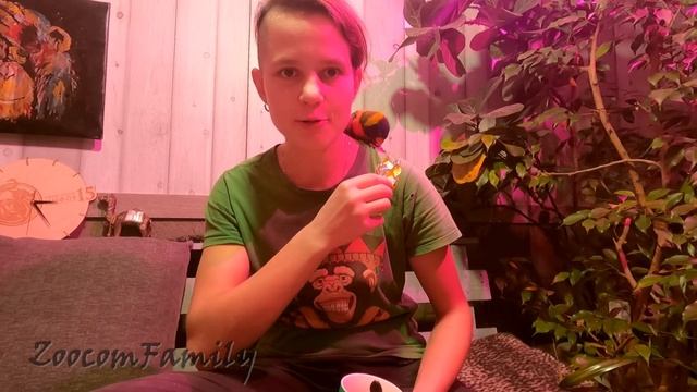 Попугай Жаба хочет конфет, но даже мне они по счету. The parrot wants candy смотреть онлайн