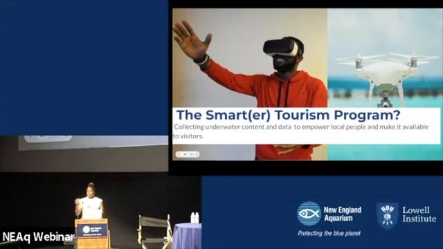 Smart(er) Tourism: The Fish ’N Fins Inc. Approach смотреть онлайн