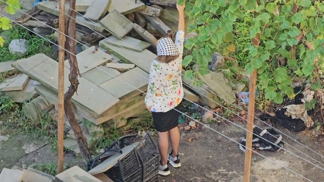 О чём звонят в колокол во дворе многоквартирных домов с 8 утра сегодня?! смотреть онлайн