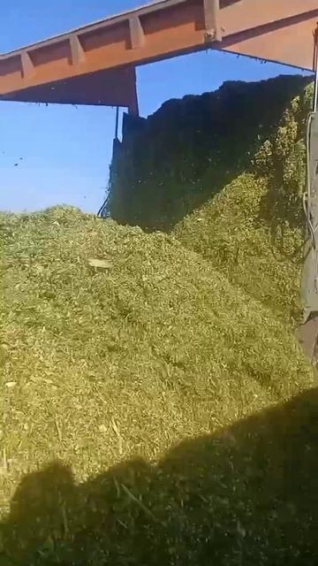 нежданчик1 смотреть онлайн