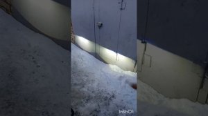 установка led птф на газель Некст