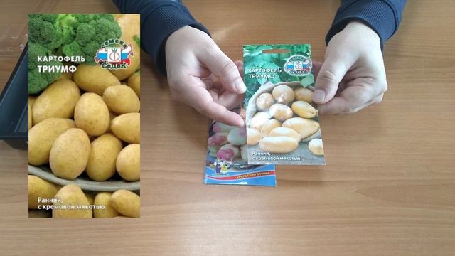 Как правильно прорастить семена картофеля перед посадкой? Простой и эффективный метод! смотреть онлайн