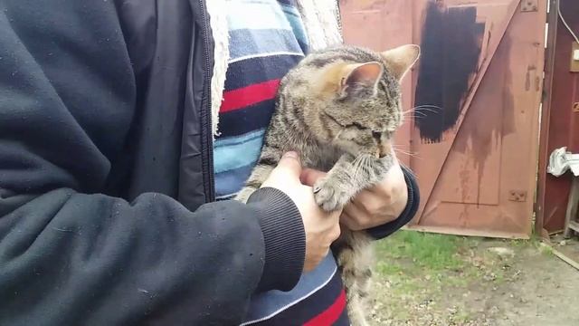 Коли дають потрібно брати.Нам все знадобиться для будівництва смотреть онлайн