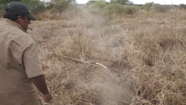 A Dangerous Encounter With a Black Mamba смотреть онлайн