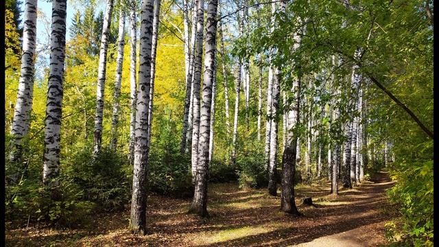 Е Евтушенко  Не понимать друг друга страшно #стихиопонимании  #поэты20века