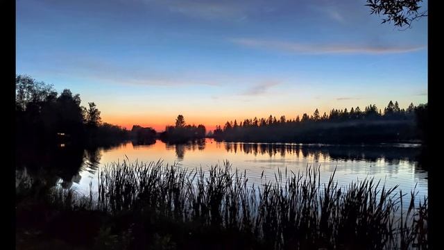 Мирра Лохвицкая  Я спала и томилась во сне #стихиопамяти #поэтыСеребряноговека