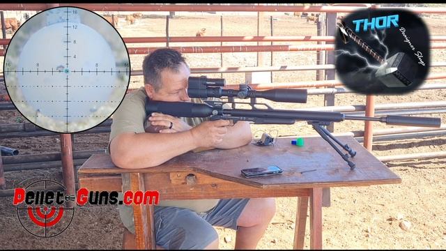 AIRFORCE CONDOR  22  Bashing Pigeons