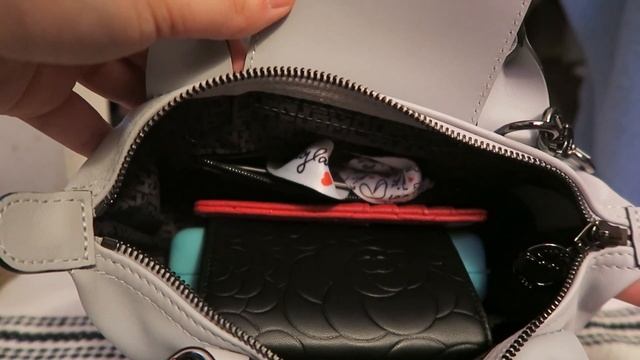 What Fits Inside my Longchamp Le Pliage Mini Cuir смотреть онлайн