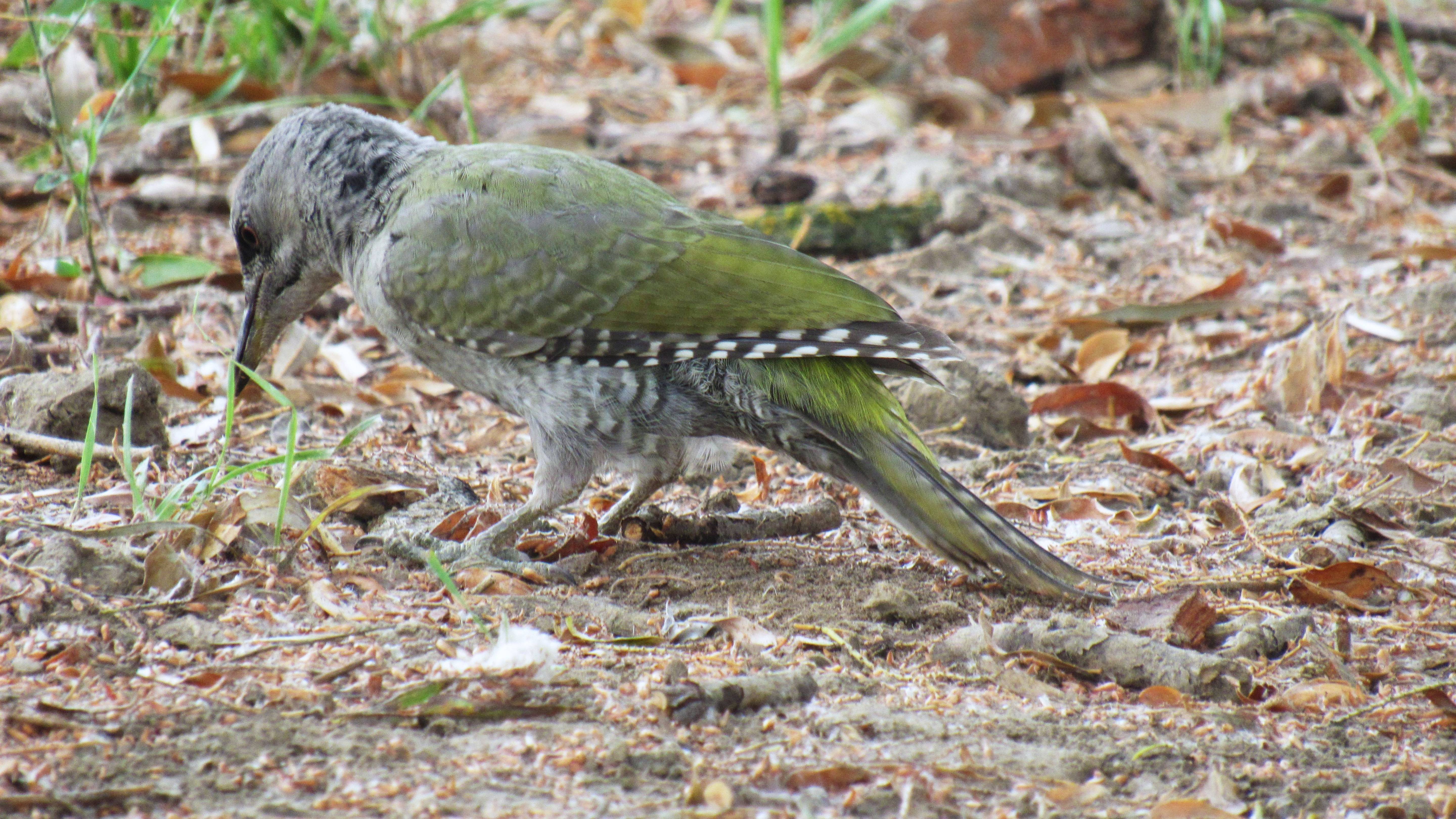 Счастливая встреча смотреть онлайн