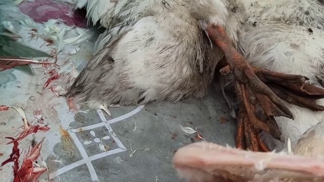 ЛИКВИДАЦИЯ УТОК 💫ТОТАЛЬНАЯ 🥳🥳🥳 смотреть онлайн