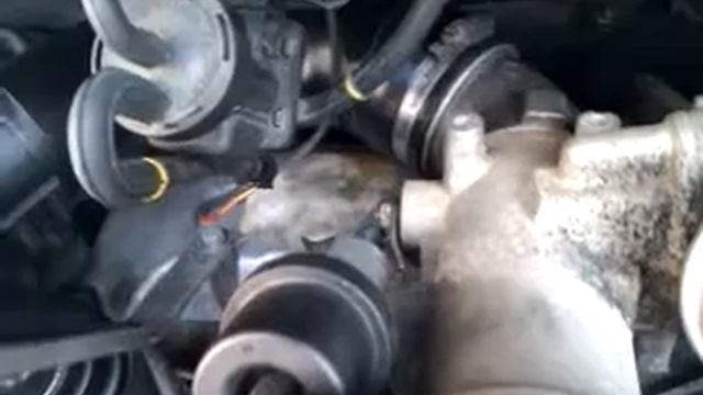 VIDEO0005.3gp смотреть онлайн