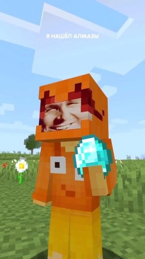 Грустный сигма-крипер с сигма-свинкой шли по полю в minecraft!