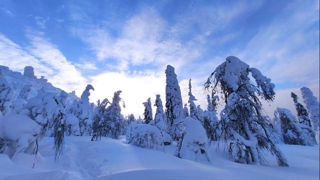 Игорь Северянин  Я мечтаю #философскаялирика#поэтыСеребряноговека