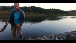 Рыбалка на  Острове Итуруп, река Курилка. Вся рыба была отпушена.