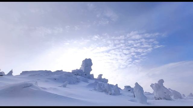 Лариса Миллер  Плывут неведомо куда по небу облака #философскаялирика #современнаяпоэзия