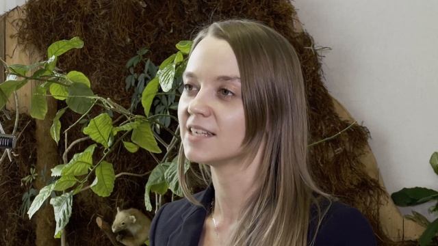 Фильм смотреть онлайн