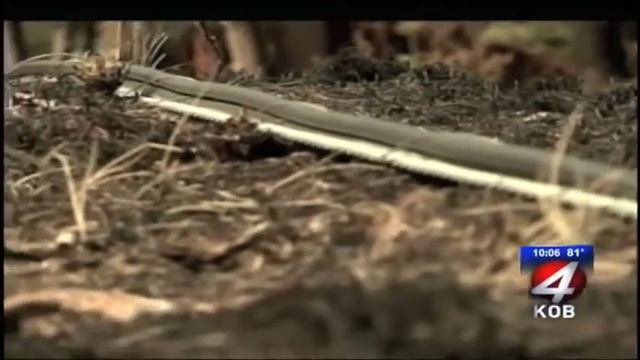 General News Coverage Little Bear NMBA KOB смотреть онлайн