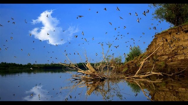 И  Бунин  На пруде #стихиолете #поэтысеребряноговека