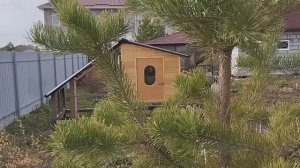 Мини-курятник на 5-7 курочек своими руками