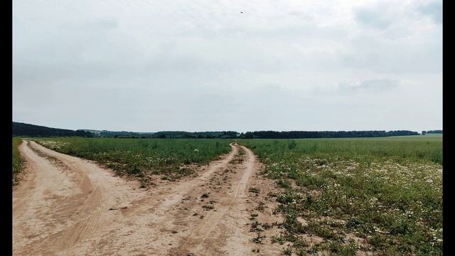 Н  Некрасов  Поэт и гражданин #гражданскаялирика #поэты19века