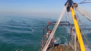 Ловля бычка мех драгой в азовском море