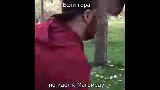 Сека вайны на инстаграме приколь смотреть онлайн