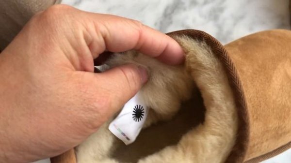 Ugg Classic Ultra Mini Platform Short Boot In Brown  Review