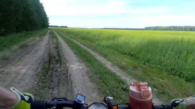 Разведка грибных мест, дегустация Чан Рамен (эксперимент с 4к) смотреть онлайн