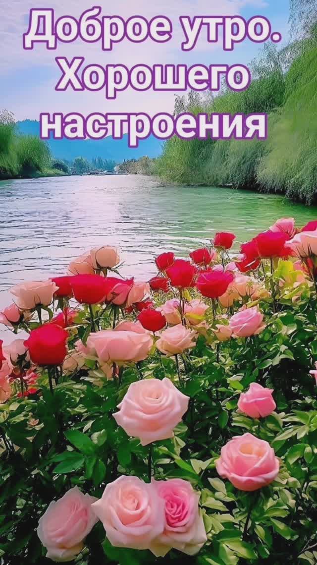 Лето чудное вам я дарю в воспоминаньях смотреть онлайн