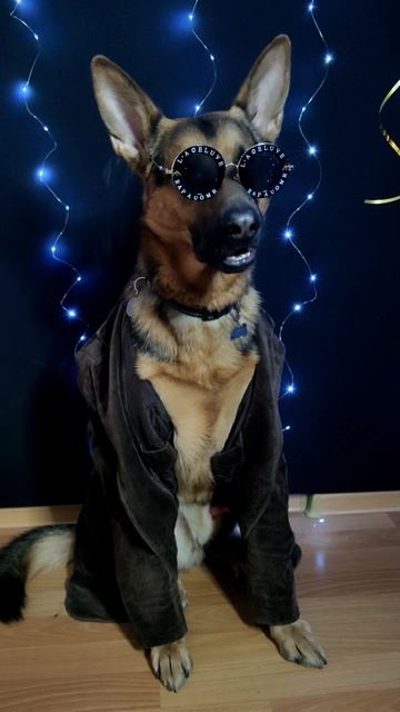 Варяжья игробудка🎲