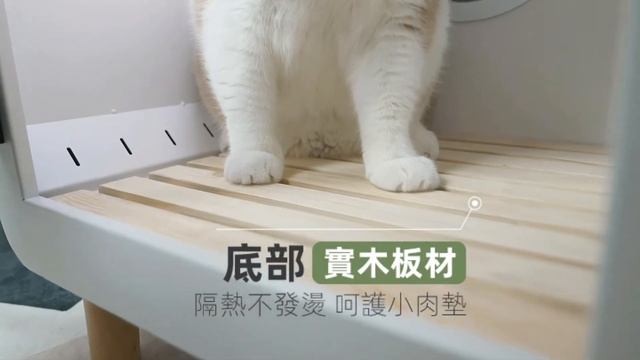 AWU PET DRYER 阿巫寵物智能恆溫烘乾機 смотреть онлайн