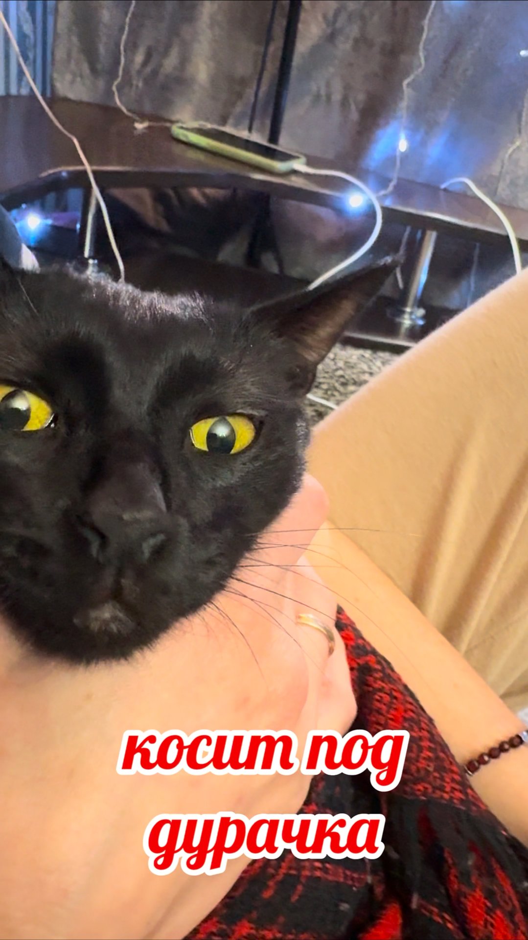 Под дурачка косит.