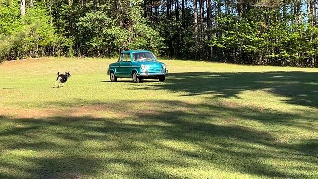 NSU Prinz III - First drive in over 10 years! смотреть онлайн