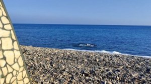 Купайся, закаляйся с мобильной баней Мобиба  28 января 2024 г.