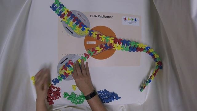 DNA Replication 5 смотреть онлайн
