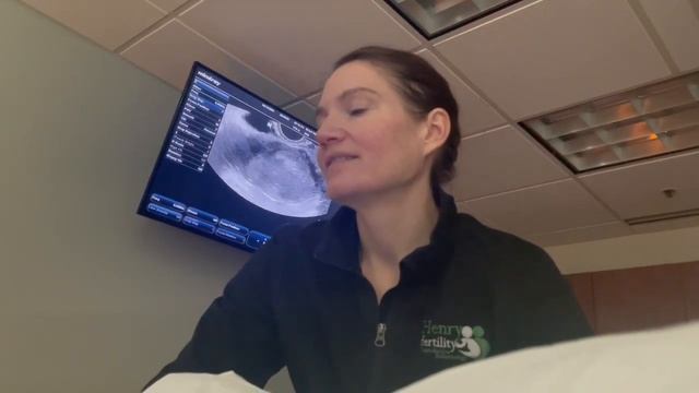 8 week ultrasound| Twins?! | Plus size IVF at 36! Hearing the heartbeat for the first time (7+5) смотреть онлайн