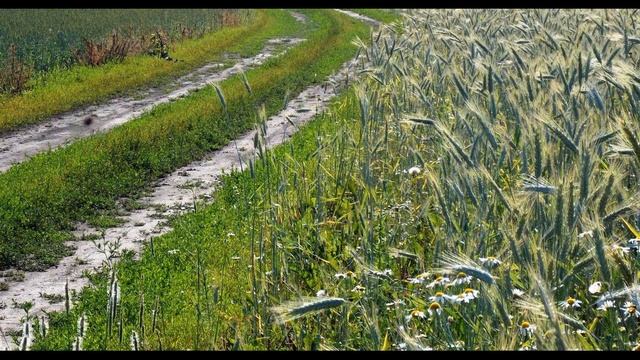 И  Бунин  Ангел  #духовнаялирика #поэтысеребряноговека