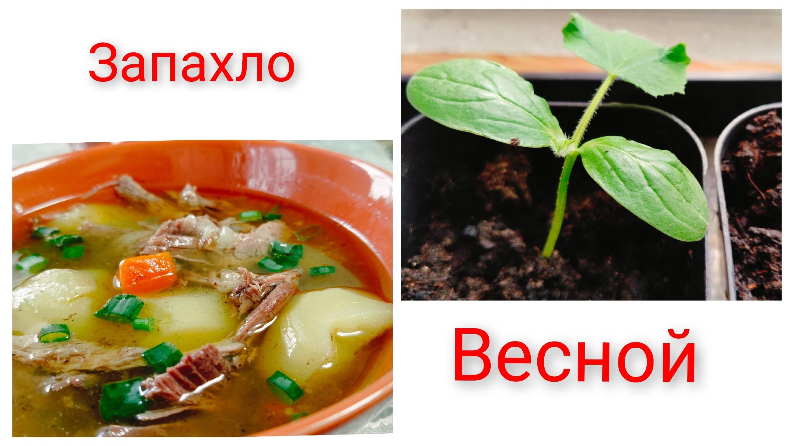 Запахло весной.Готовим дичь.Распланировали. смотреть онлайн