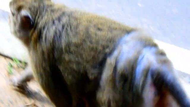 Adorable newborn Baby Very Enjoying Get Sweet Milk From Lovely Mom TOMA смотреть онлайн