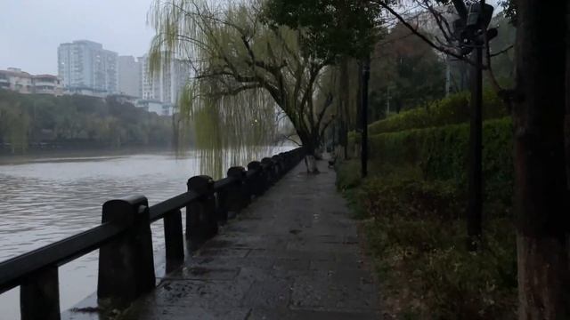 「4K」Walking by the Hangzhou Grand Canal on a rainy evening｜China walk｜杭州 смотреть онлайн