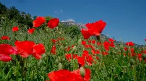 Ночное небо... # христианская песня