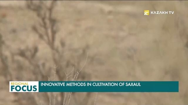 Қазақстандық ғалымдар құм ұстайтын бактерияларды жасап шығарды смотреть онлайн