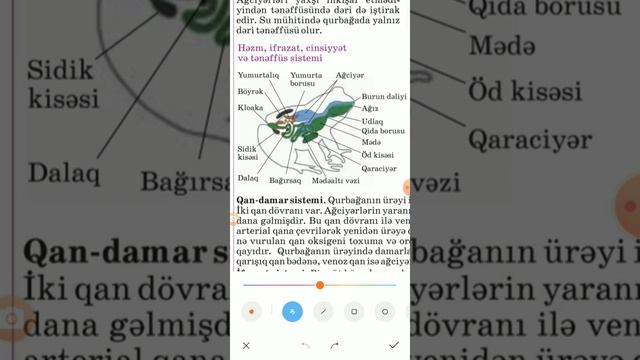7sinif/44-45Suda-quruda yaşayanlar sinfi смотреть онлайн