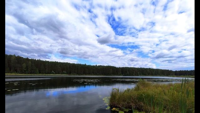 Мирра Лохвицкая  Моя печаль всегда со мной #поэтысеребряноговека #философскаялирика