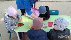 Прогулка. Занятие по ознакомлению с окружающим миром во второй младшей группе «Насекомые».