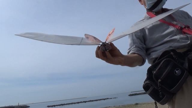 サーボ駆動テントウムシ型羽ばたき機 SFOLadyBird94: 7th Flight :Good Flight смотреть онлайн