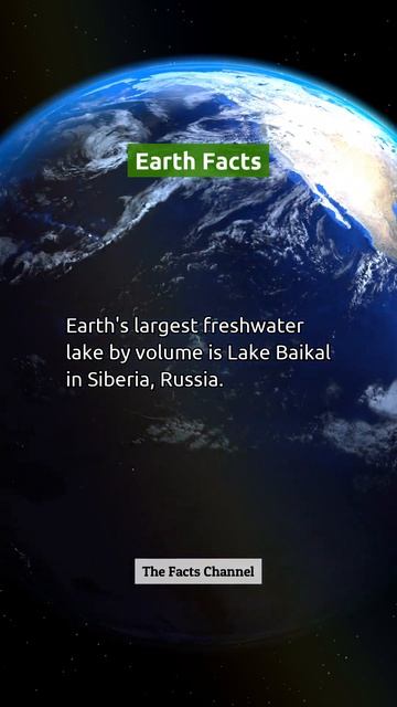 Earth Fact #38 смотреть онлайн