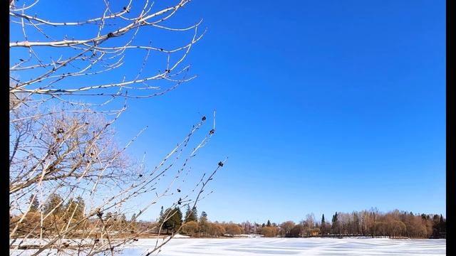 К Бальмонт  Одна есть в мире красота #философскаялирика #поэзиясеребряноговека