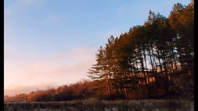 Н Рубцов  Журавли  #стихиобосени #поэты20века